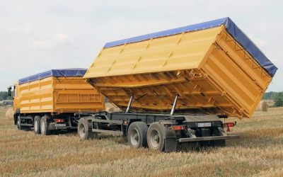 Услуги зерновозов для перевозки зерна - Рубцовск, цены, предложения специалистов